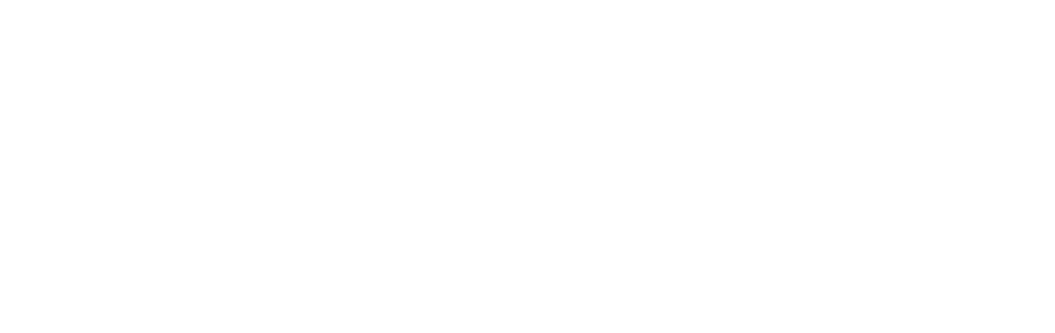 Shopify-Partner